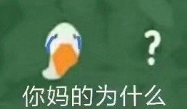 沙雕搞笑视频爆料文案,笑料百出，笑翻你的日常！