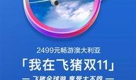 航线大爆料最新,最新航线布局与航线亮点深度解析