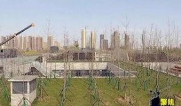 延安人民公园爆料视频,揭秘公园里的惊人秘密