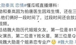 圈内人爆料魏大勋秦岚视频,圈内人爆料背后真相