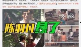 惠然结婚被谁爆料了呢视频,揭秘爆料者身份及事件始末