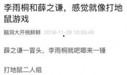 带你吃瓜日记免费阅读,揭秘娱乐圈幕后故事