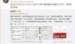 辛巴爆料王海视频,揭秘网络舆论背后的真相