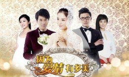 因为爱情有多美在线观看,浪漫邂逅，谱写永恒爱情传奇