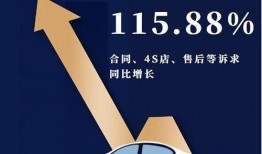 买车骗局内部爆料视频,内部爆料视频深度解析