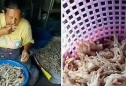 新闻爆料凤爪是真的吗视频,凤爪视频爆料，究竟是真的还是假的？