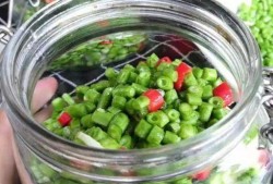 酸豆角爆料视频大全集最新,揭秘幕后真相与精彩瞬间