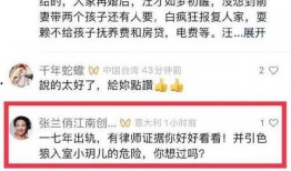 出轨的博主爆料视频大全,揭秘娱乐圈背后的情感纠葛